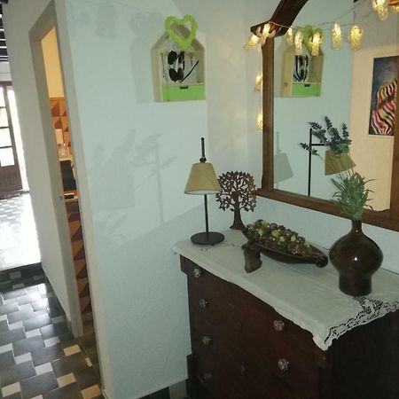 Can Cactus Garriguella Dış mekan fotoğraf