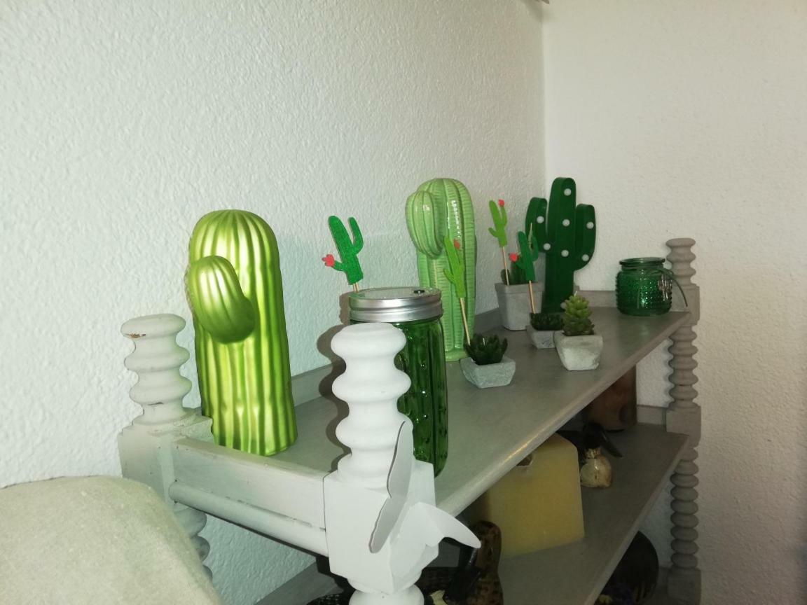 Can Cactus Garriguella Dış mekan fotoğraf